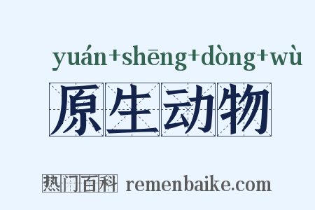 原生动物是什么意思的图片